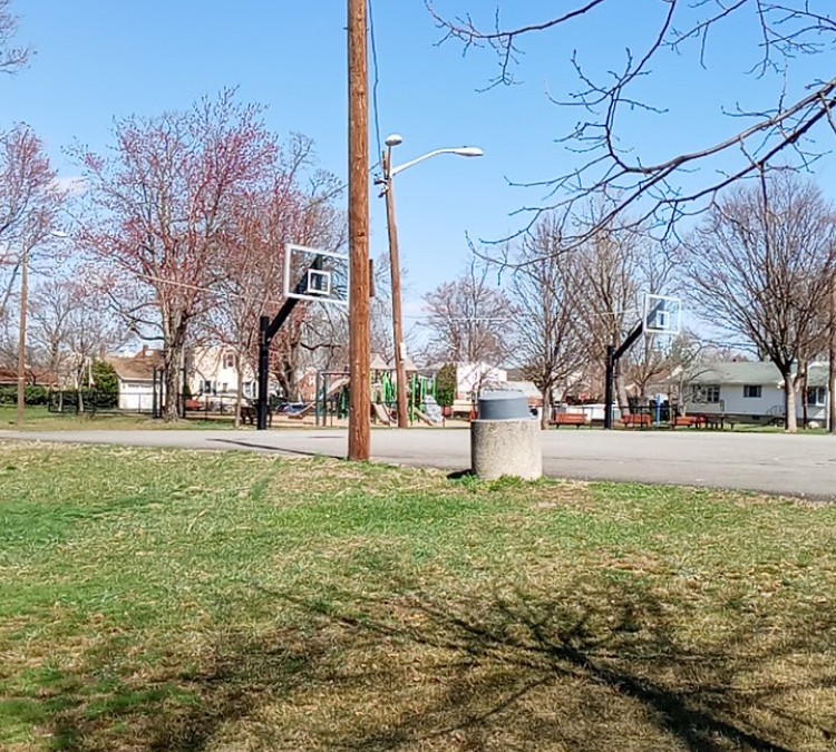 basketball-court-photo